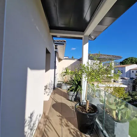 Grande Moderne Arbre Blanc Montpellier