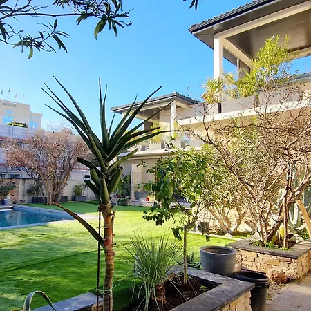 Villa Grande Moderne Arbre Blanc Montpellier