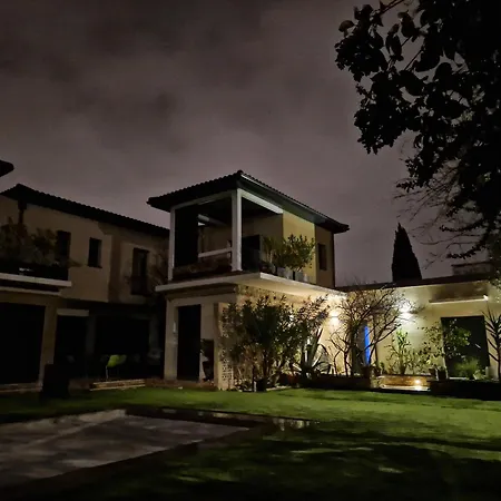 Grande Moderne Arbre Blanc Villa