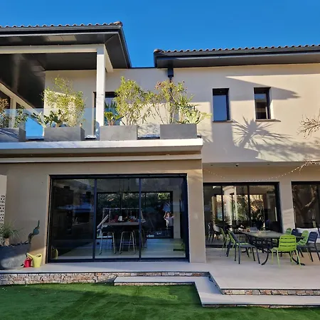 Grande Moderne Arbre Blanc Villa Montpellier