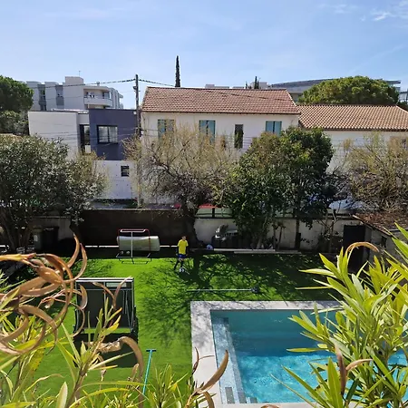Villa Grande Moderne Arbre Blanc Montpellier