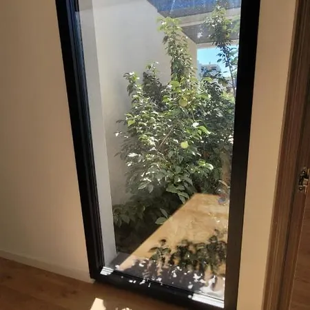 Grande Moderne Arbre Blanc * Montpellier
