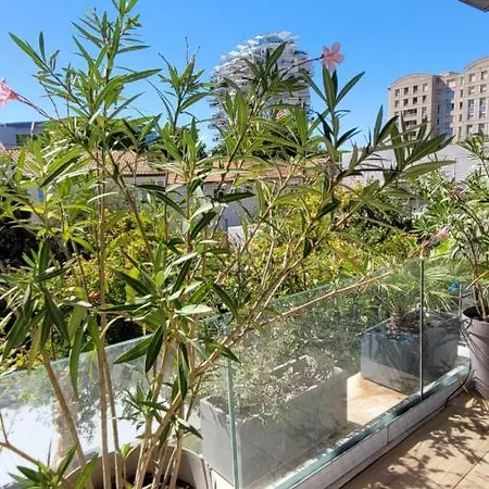Grande Moderne Arbre Blanc Willa Montpellier